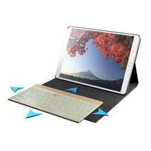 Folio Pro - 9.7 inch - Rose